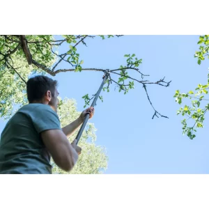 PODADORA ARBOLES PRUNING STIK 5" FISKARS - Imagen 4